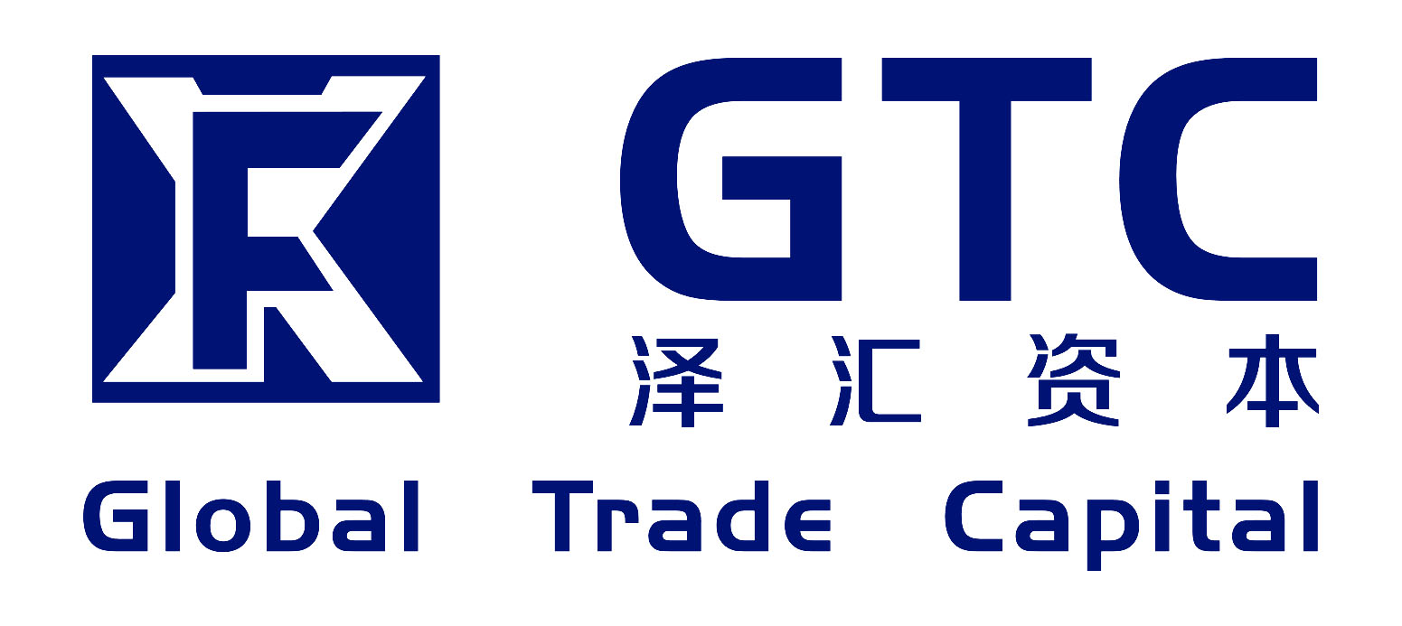 GTC泽汇官方网站SEO优化案